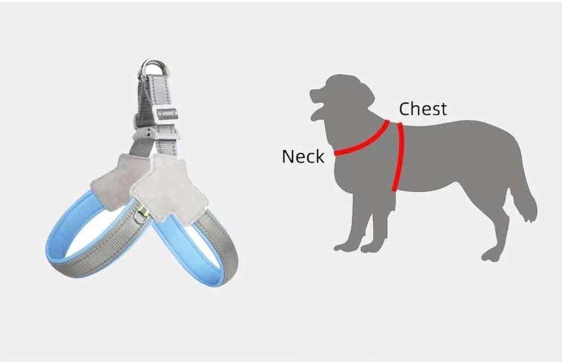 Harnais pour Chien Confort Anti-Traction – Rembourré et Ajustable avec Bandes Réfléchissantes
