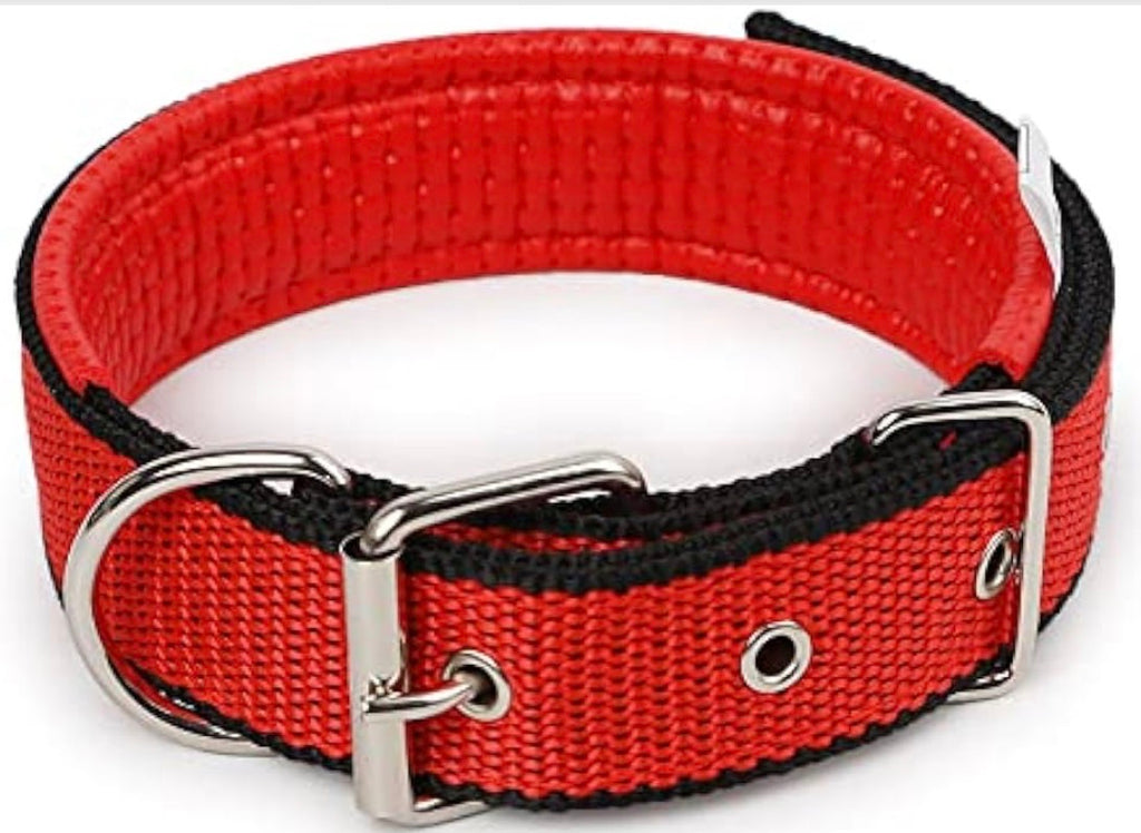 Collier pour Chien Rembourré en Nylon Robuste – Confort & Haute Visibilité