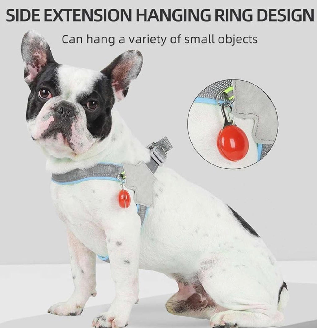 Harnais pour Chien Confort Anti-Traction – Rembourré et Ajustable avec Bandes Réfléchissantes