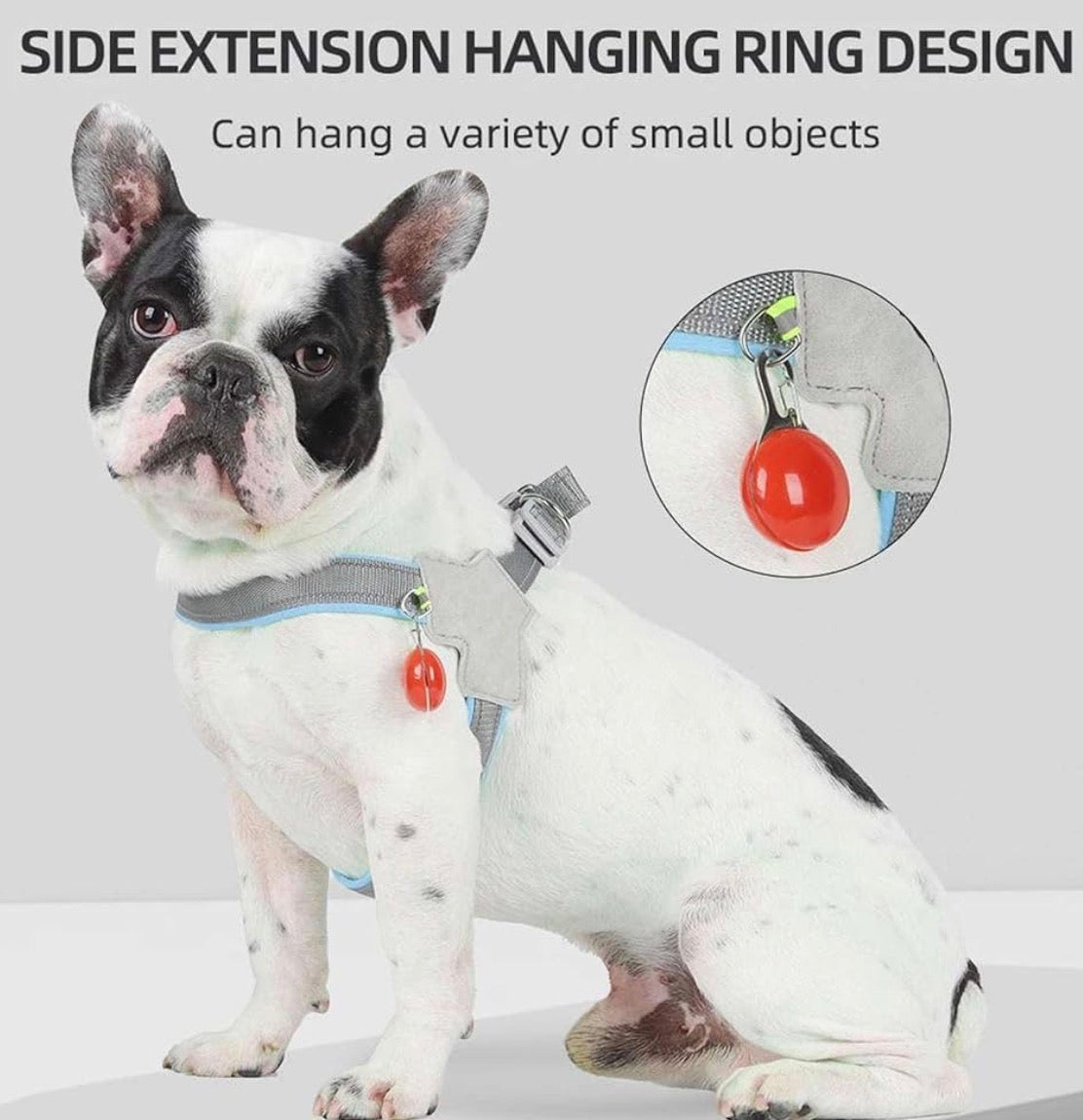 Harnais pour Chien Confort Anti-Traction – Rembourré et Ajustable avec Bandes Réfléchissantes