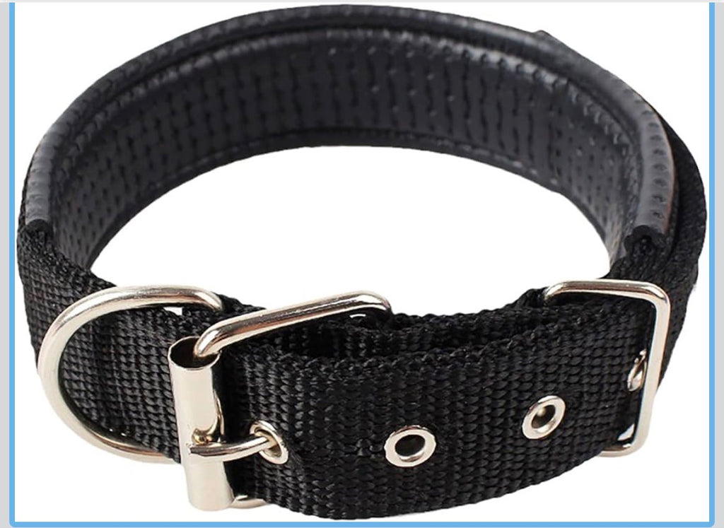 Collier pour Chien Rembourré en Nylon Robuste – Confort & Haute Visibilité