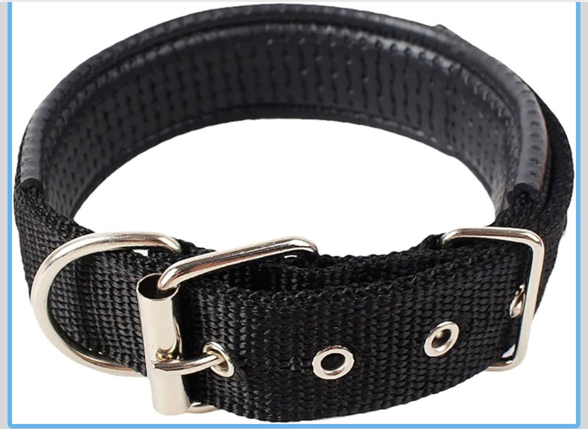 Collier pour Chien Rembourré en Nylon Robuste – Confort & Haute Visibilité