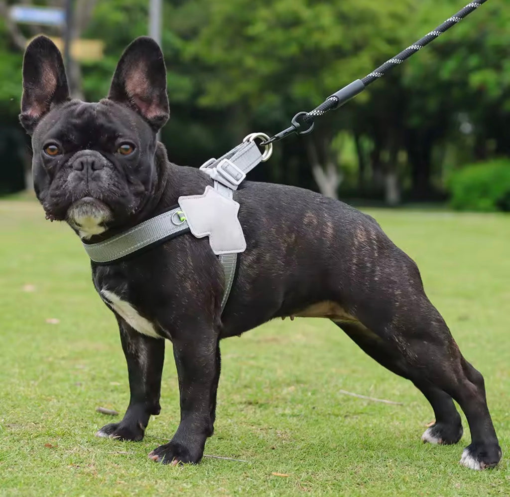 Harnais pour Chien Confort Anti-Traction – Rembourré et Ajustable avec Bandes Réfléchissantes