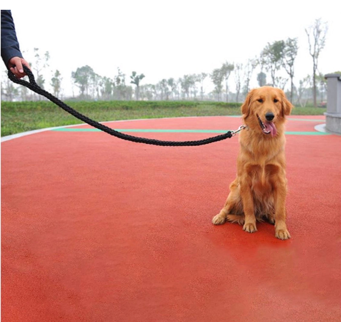 Laisse de Sécurité Haute Résistance - Chaîne en Acier Anti-Morsure avec Ressort Amortisseur et Poignée Tressée Confort