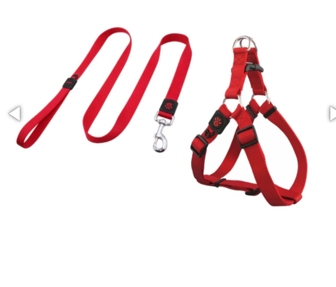 Ensemble Harnais, Laisse et Collier en Nylon Robuste - Réglable et Confortable pour Chiens et Chats