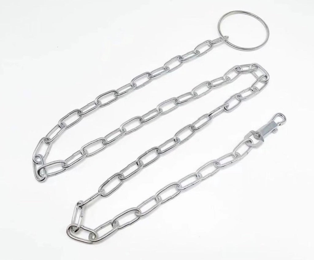 Chaîne d'Attache pour Chien en Acier Chromé - 2 Mètres - Haute Résistance