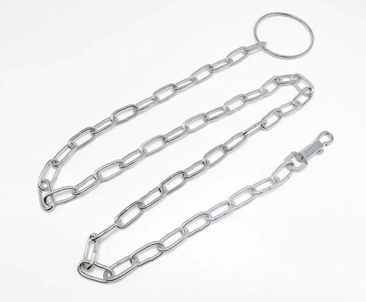 Chaîne d'Attache pour Chien en Acier Chromé - 2 Mètres - Haute Résistance