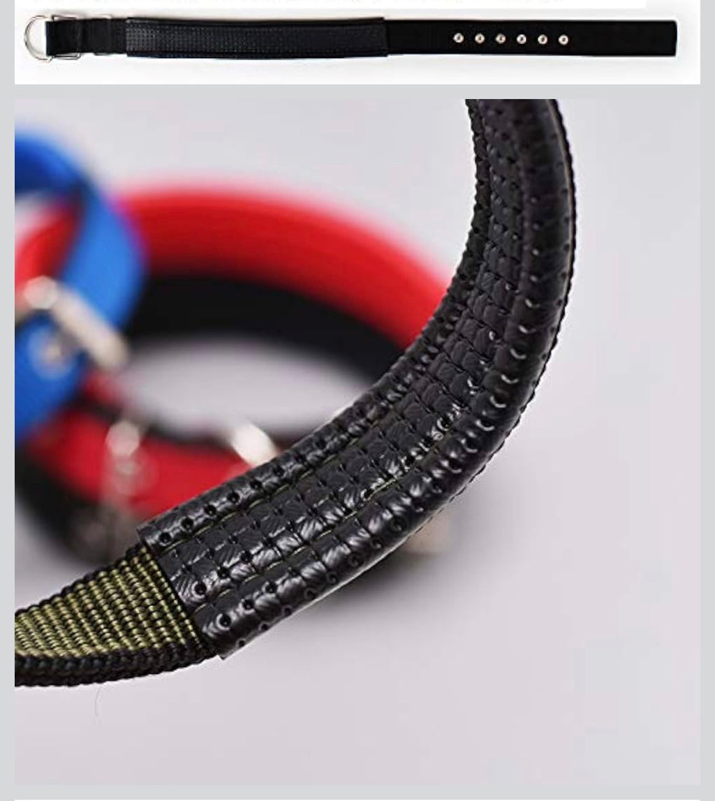 Collier pour Chien Rembourré en Nylon Robuste – Confort & Haute Visibilité